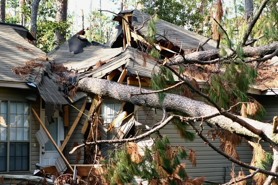 Storm damage – fallen tree on home